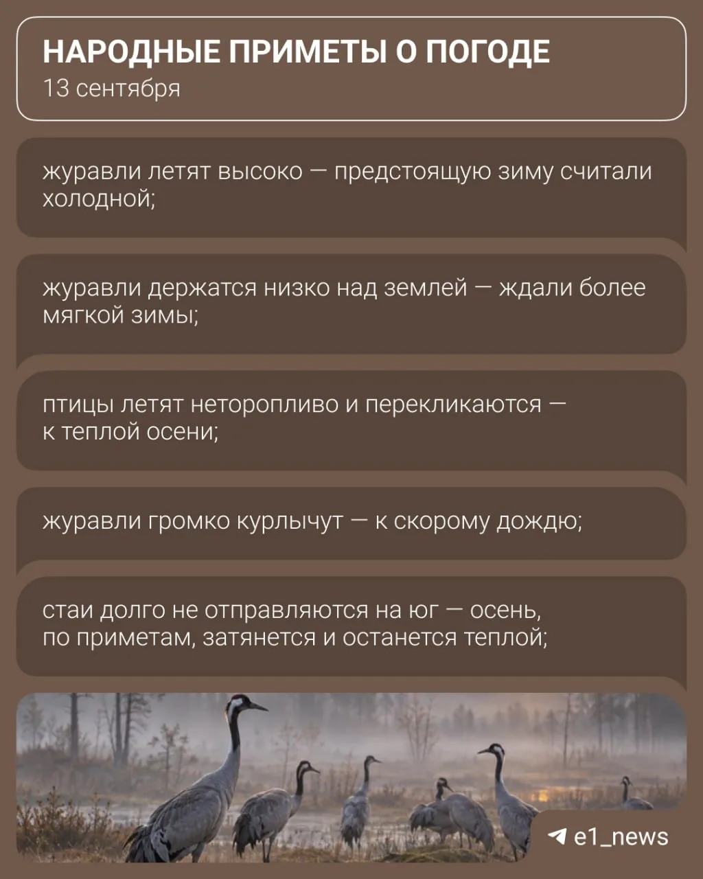Мы, конечно, не экстрасенсы, но предсказывать будущее умеем.