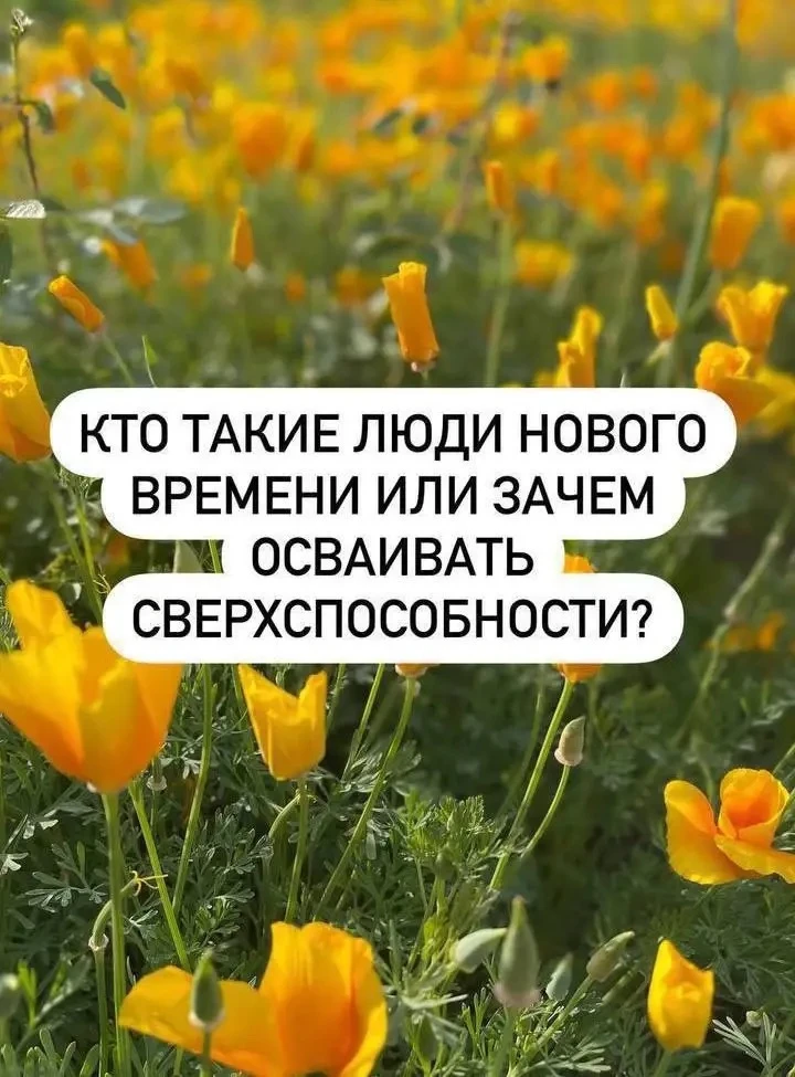 Людям нового времени жизненно необходимы навыки:👇