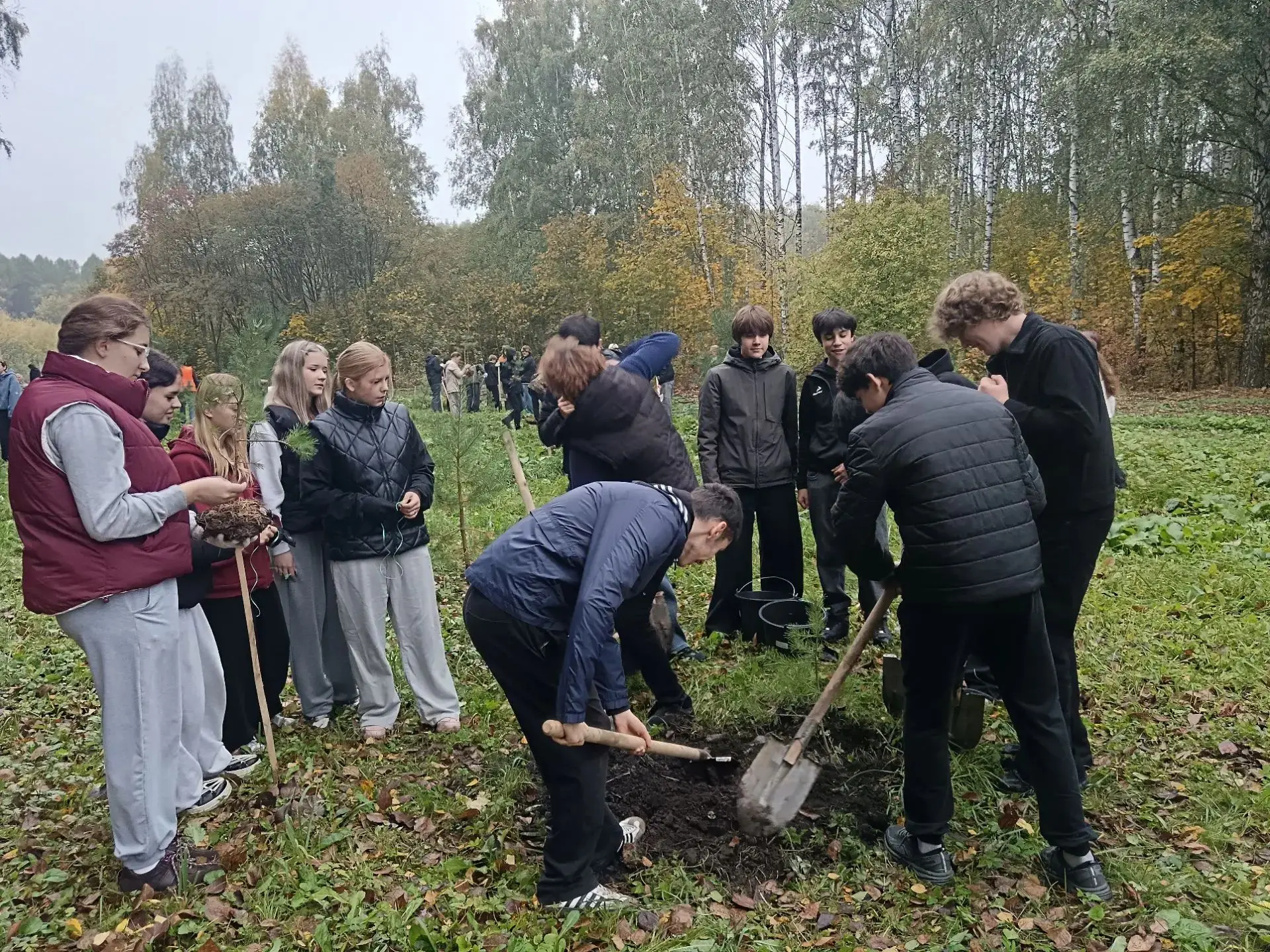 Учащиеся 9-х классов нашей школы приняли участие в высадке 250 сосен в "Саду Памяти".