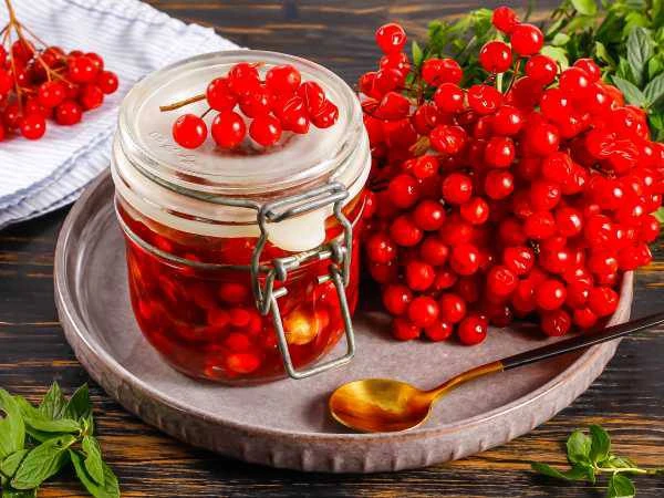 Калиновое варенье: как приготовить и чем полезно