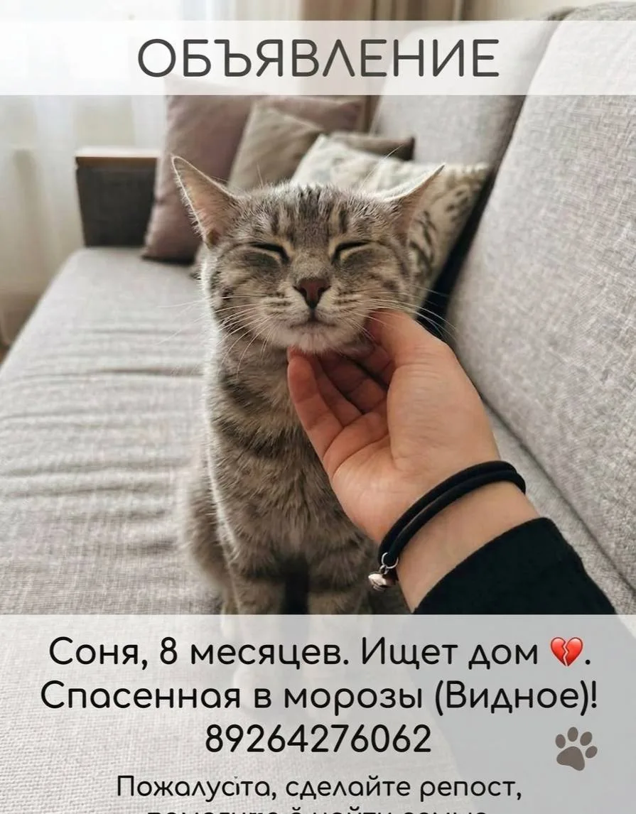 Добрый день