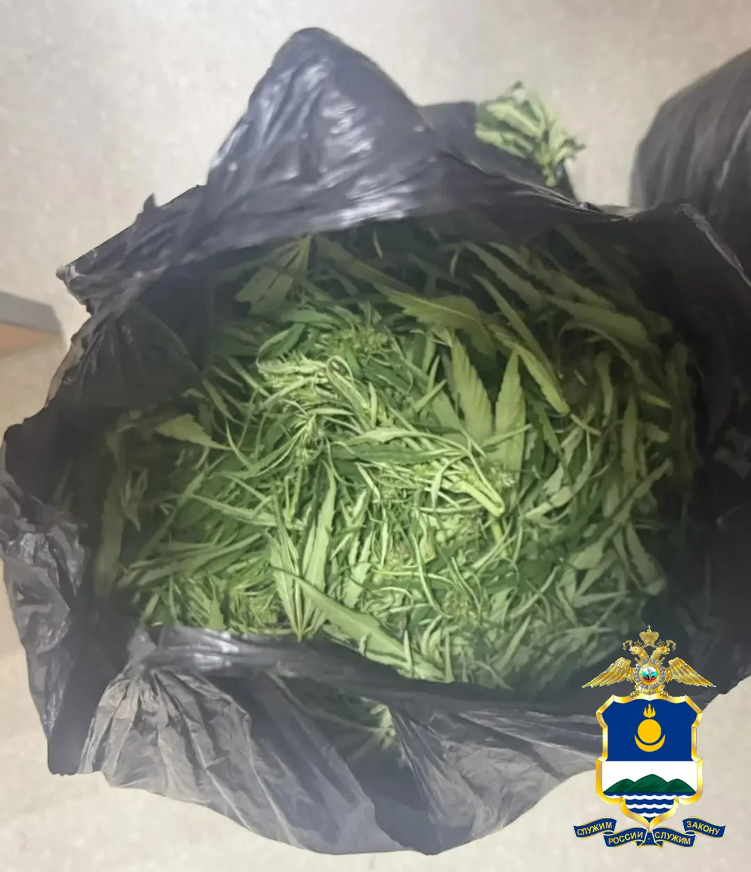 👮‍♀️ В Мухоршибирском и Тарбагатайском районах полицейские выявили факты незаконного х...