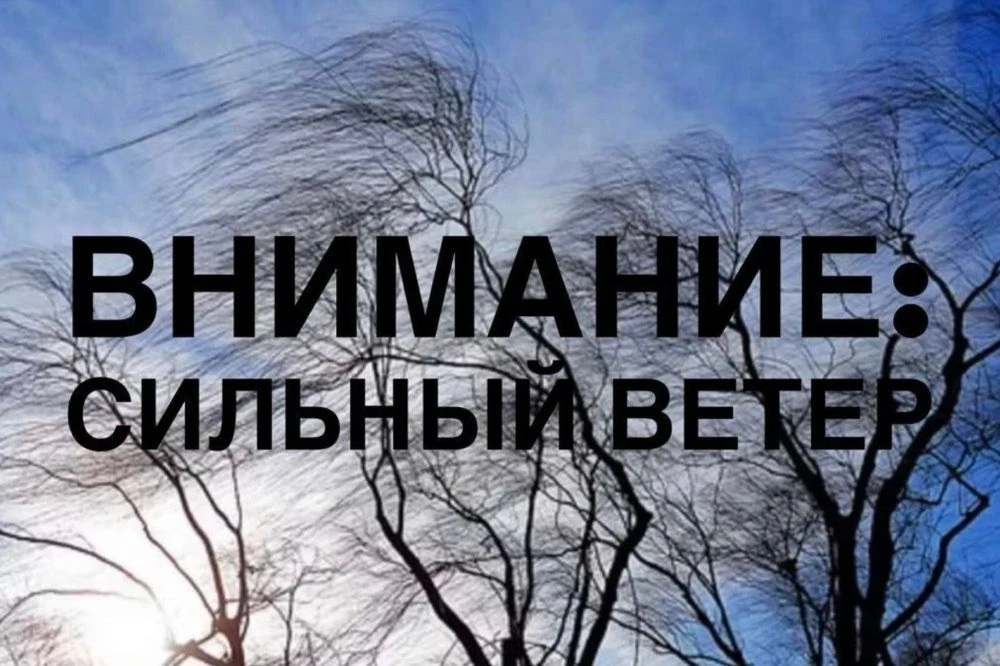 По данным Удмуртского ЦГМС, днем 9 мая 2026 года местами по региону ожидается усиление ...