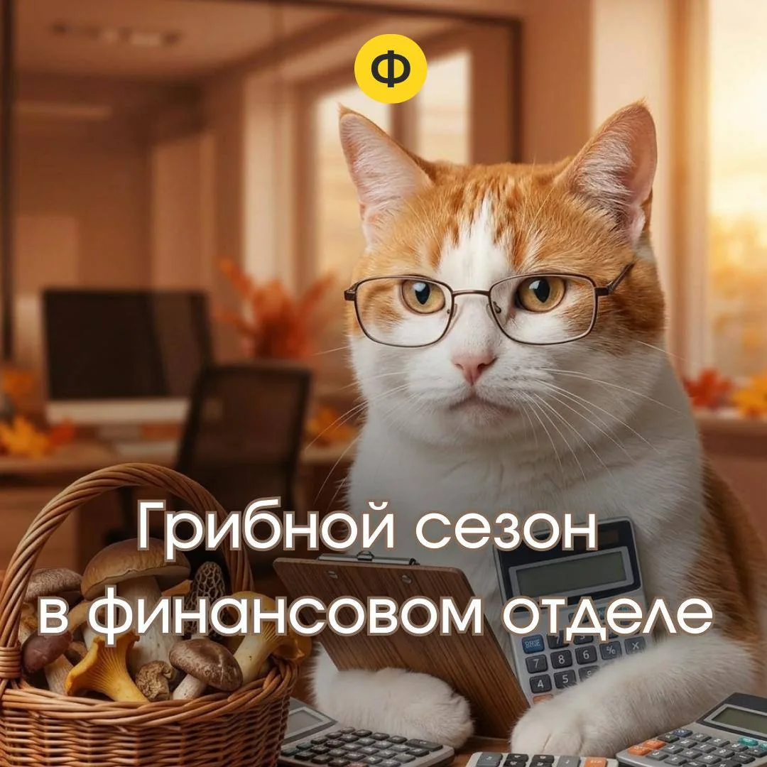 Давайте обсудим важное, грибной сезон 🍄‍🟫