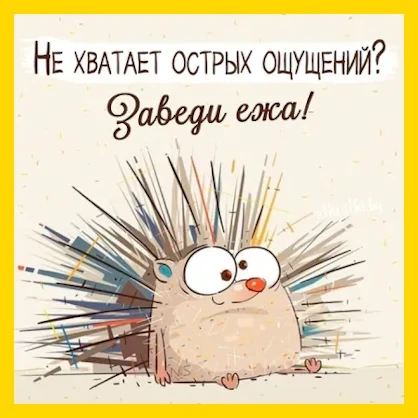 Полный Хохотамбл! Подпишись скорее