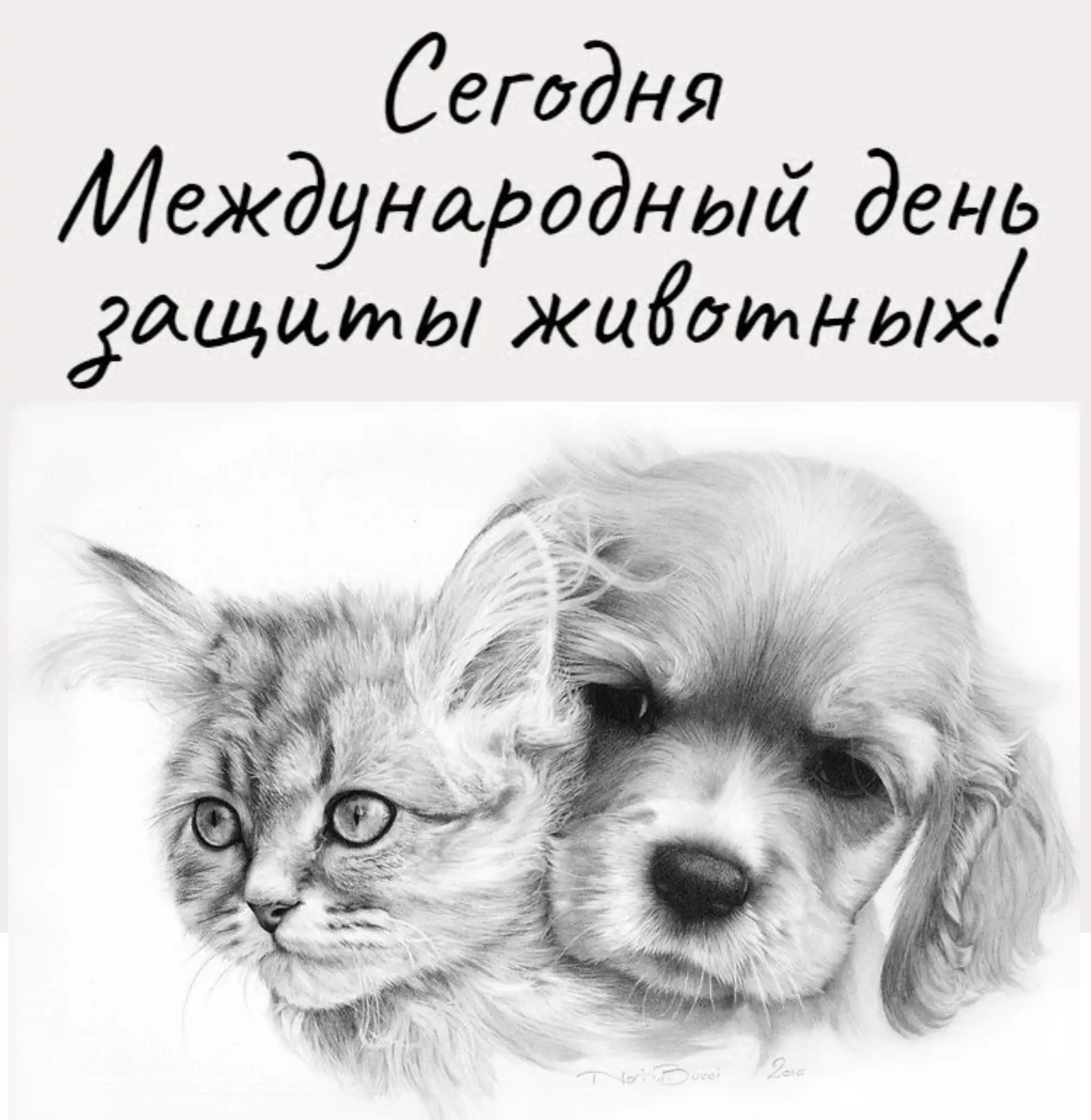 Сегодня отмечается Международный день защиты животных — прекрасный повод вспомнить, как...