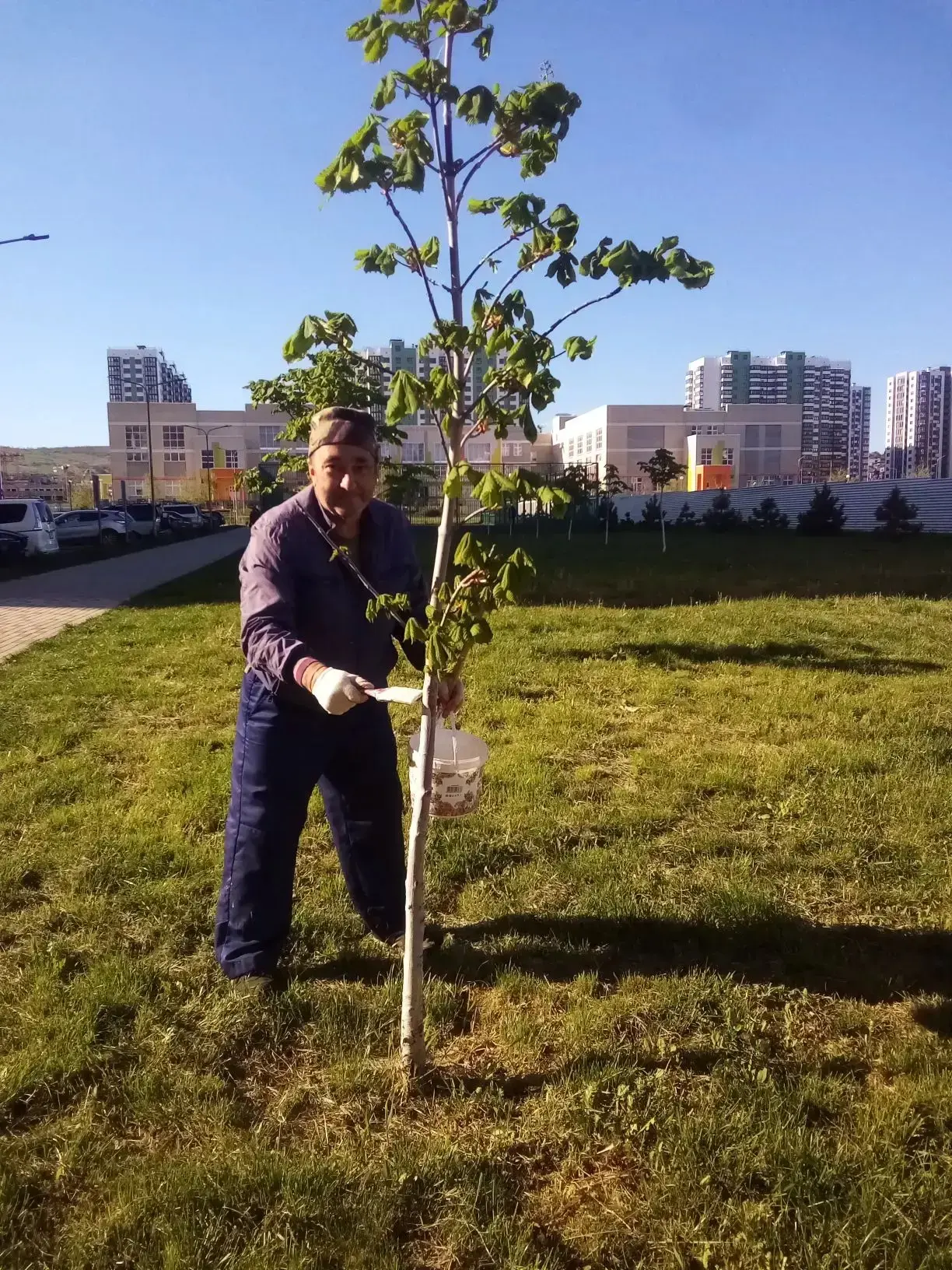 # 🌳🏡 Отчет о проведенных работах по благоустройству наших дворов!  Дорогие собственники многоквартир