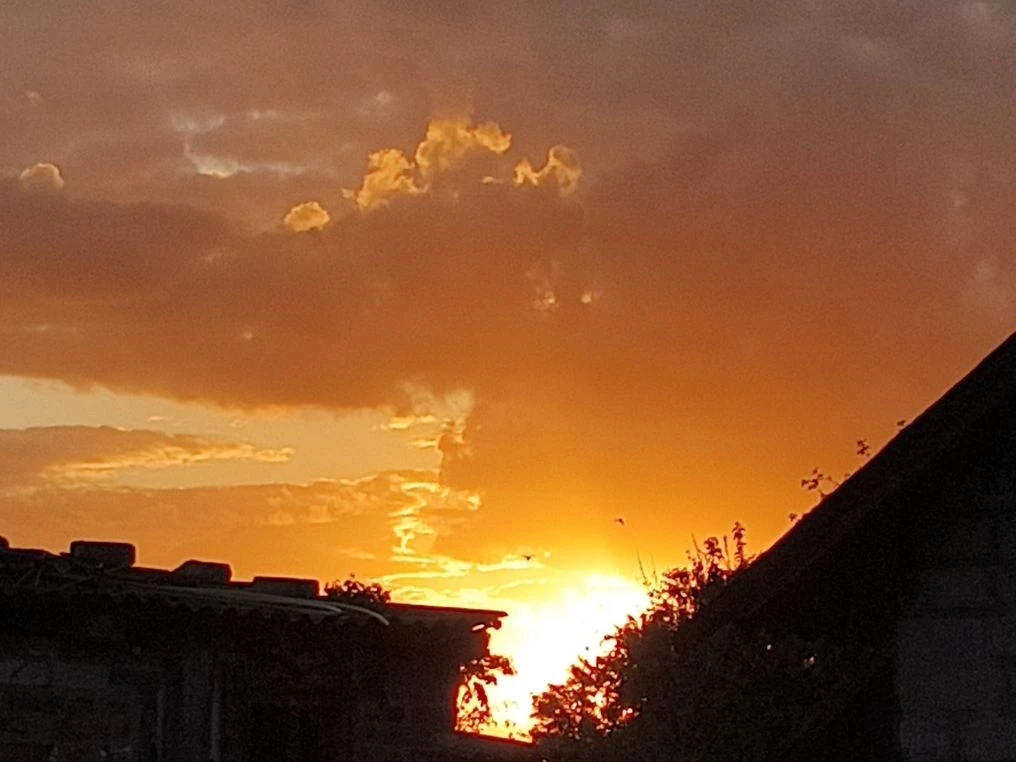🌿📸 Природа умеет вдохновлять, а наши обучающиеся — замечать её самые прекрасные моменты!

В рамках