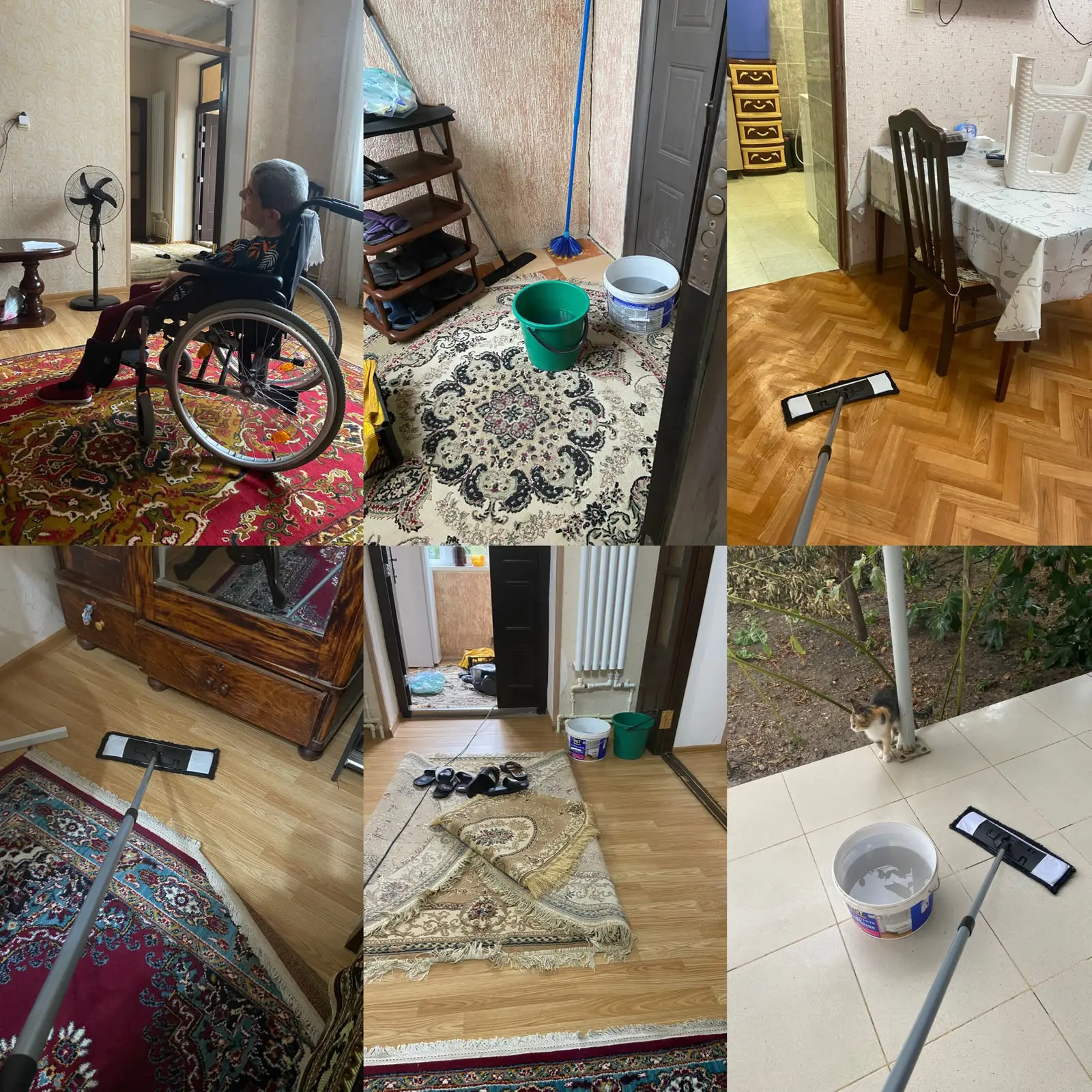 Подопечная Исбатова Эльмира,