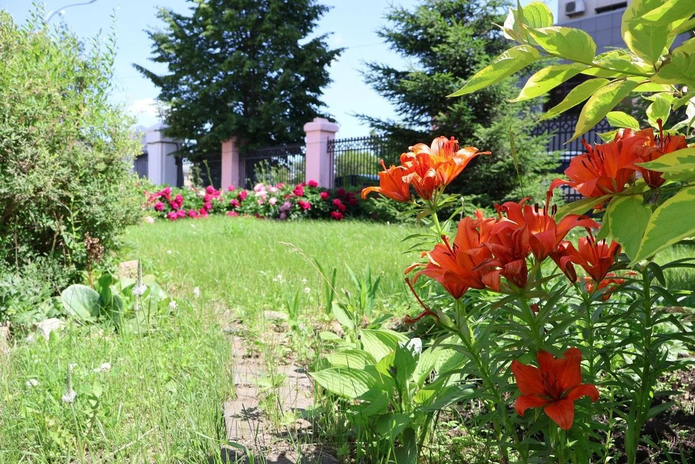 🌸 Ура! Мы в финале конкурса «Цветущий город»!