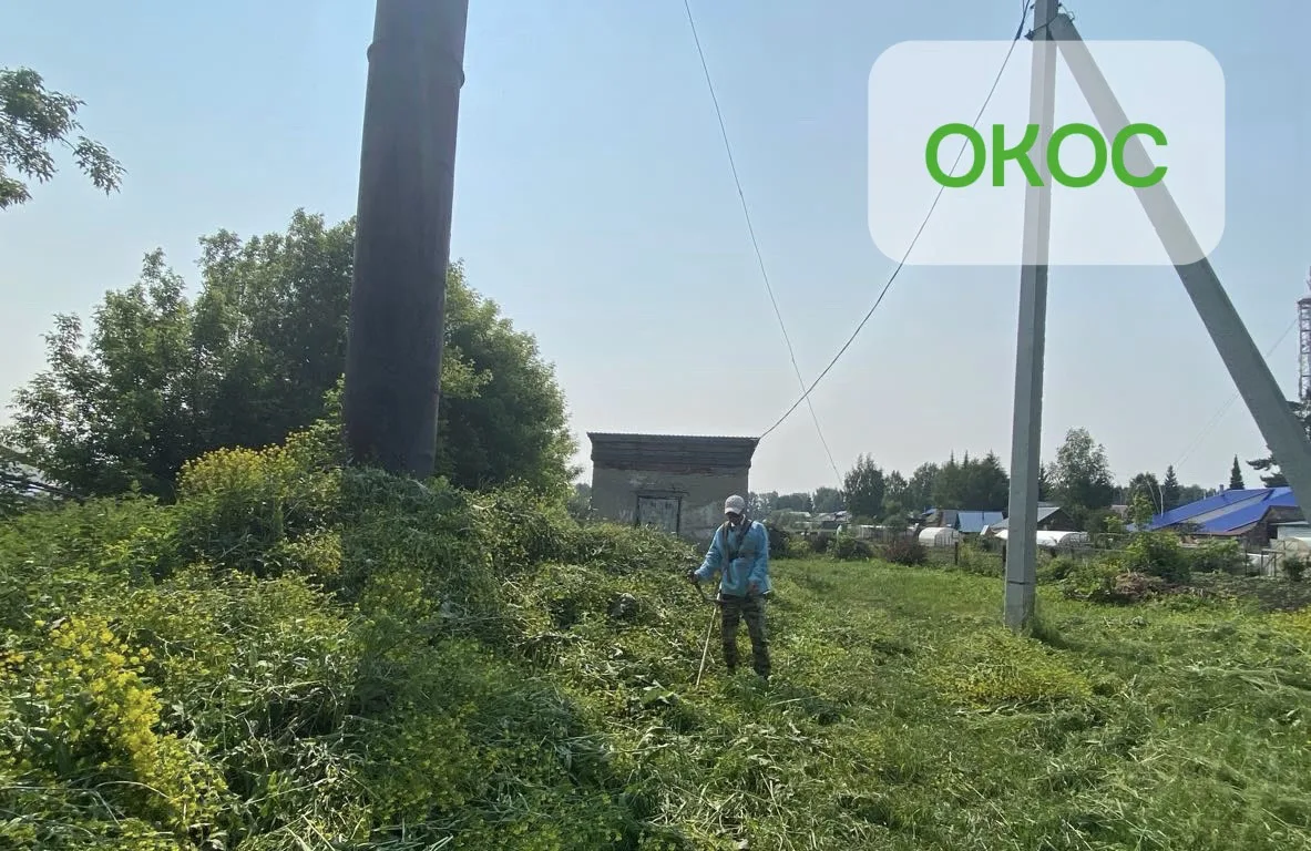 Продолжаем наводить порядок! 🌿

Чистота и порядок на улицах — это результат ежедневного труда. Сего