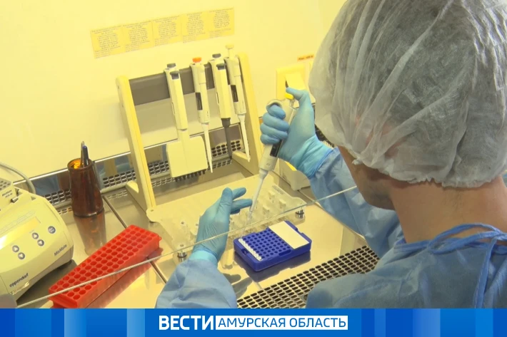 Осторожно, клещи: в Приамурье у 12 членистоногих нашли боррелиоз  За последние семь дней с укусами к