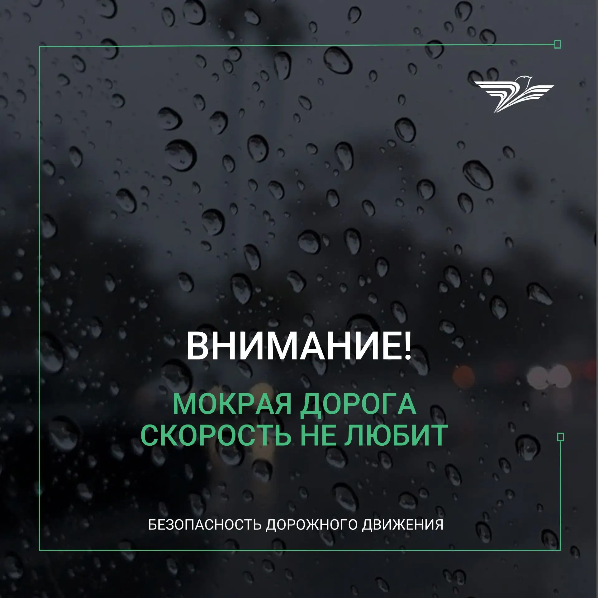 🌧 За окном дождь, и по прогнозам синоптиков осадки в Курской области сохранятся как минимум до сере