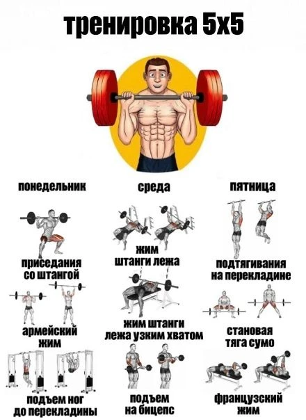 Подпишись на программы тренировок 🔥