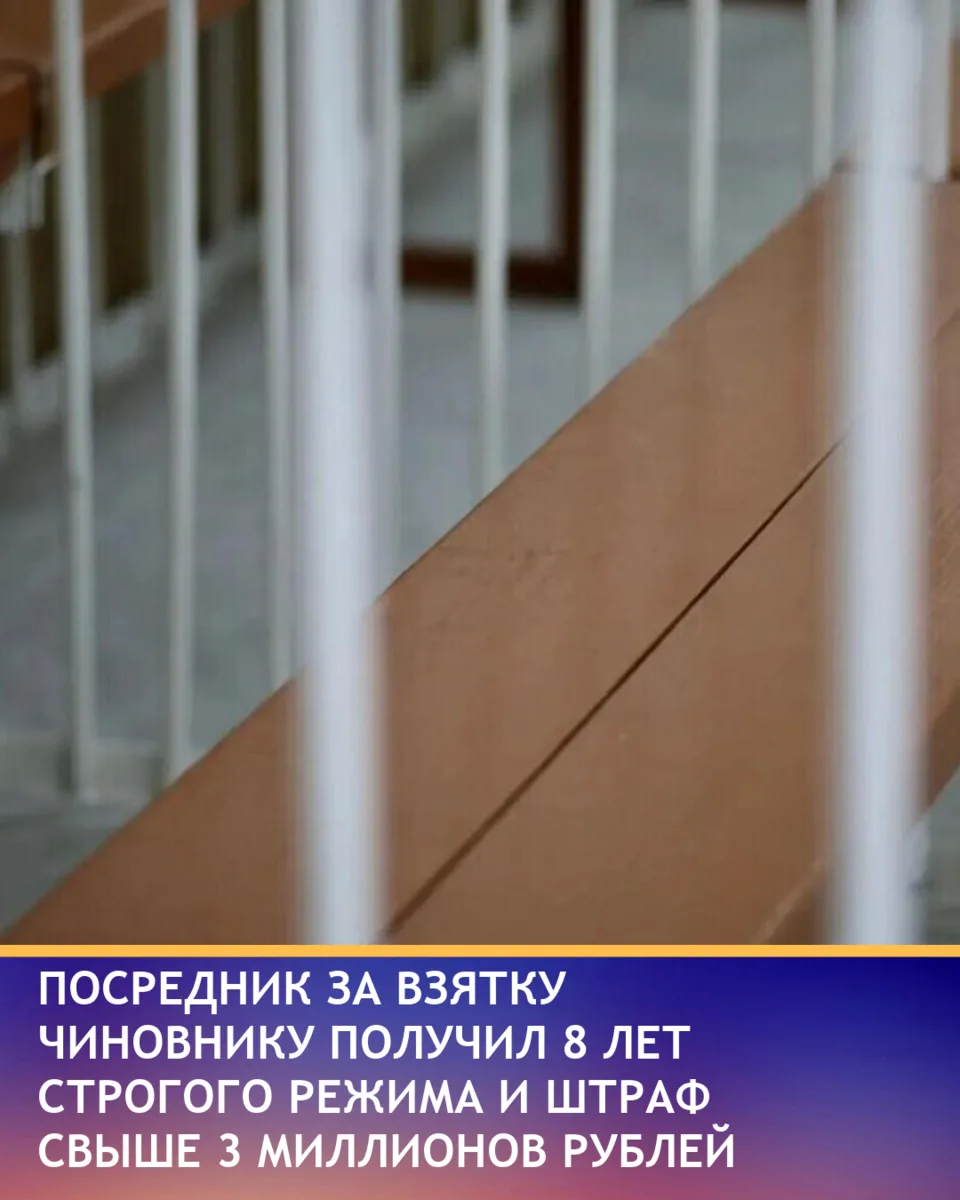 Житель Забайкалья получил 8 лет колонии строгого режима и крупный штраф за передачу взя...