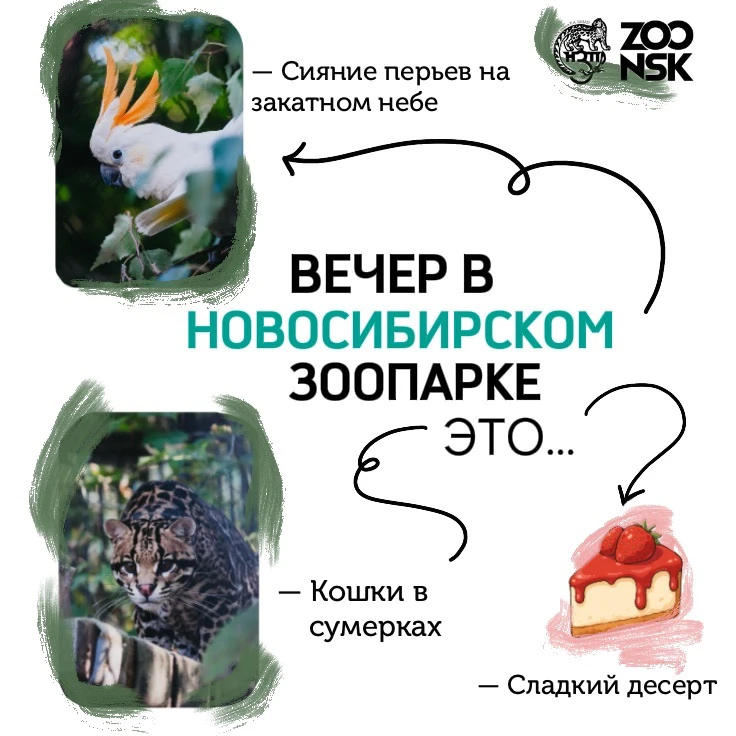 Проведите свой вечер по-особенному! 🌆
