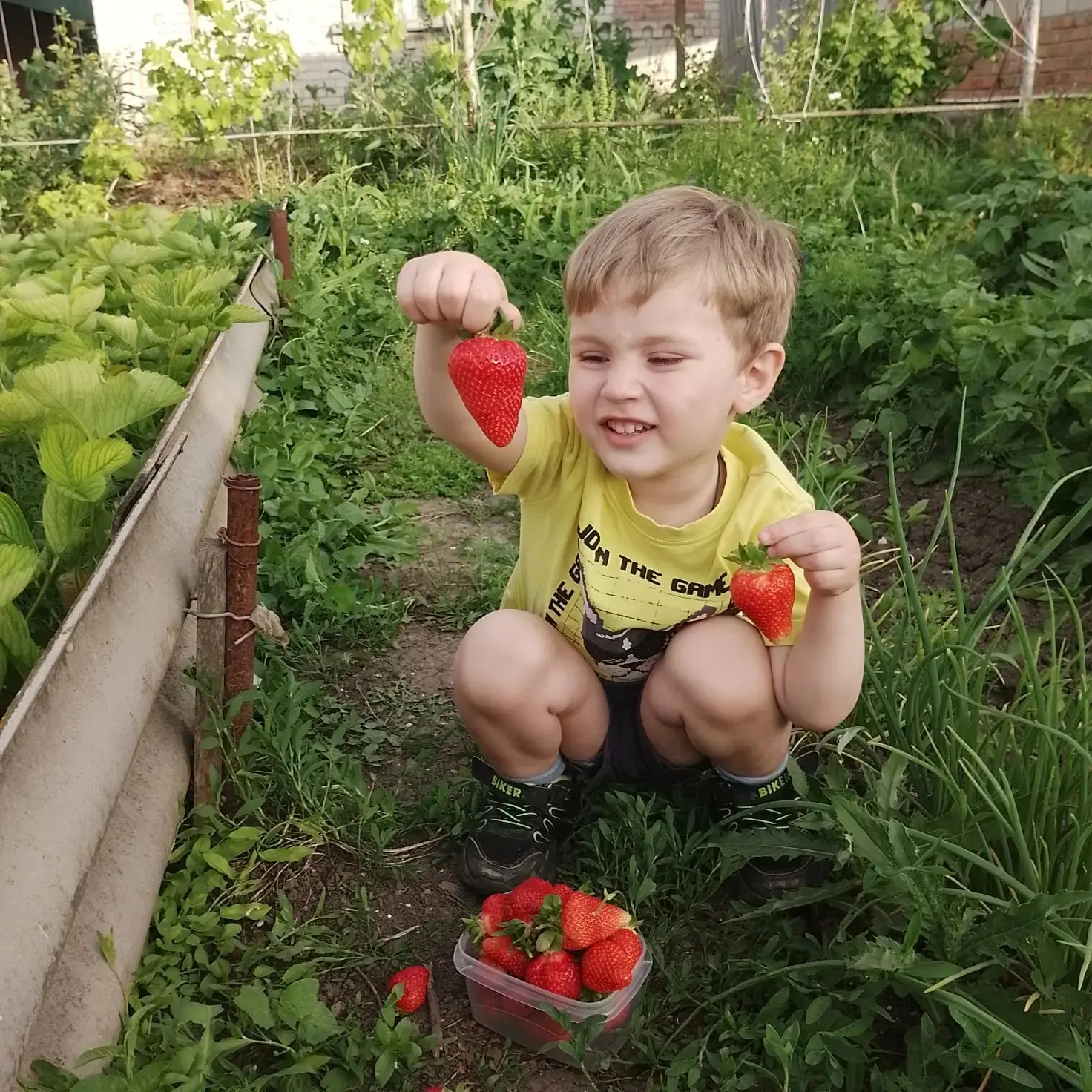 🥦Наш «Трудовой десант» набирает обороты, и эстафета добрых дел продолжается с новой си...