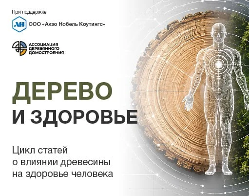 🧪 Наука подтверждает: дерево снижает стресс!