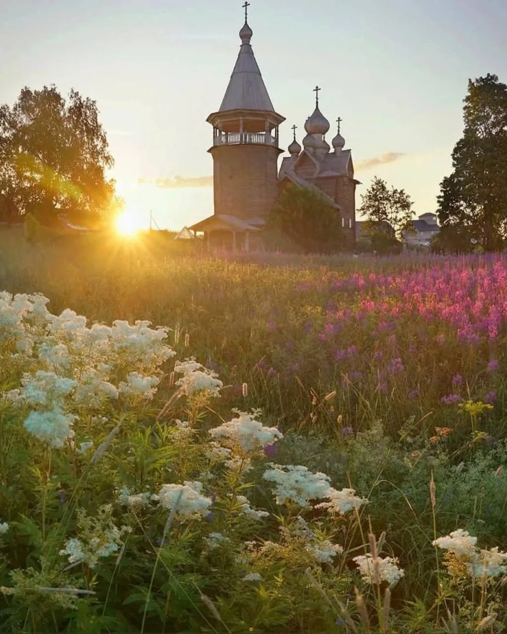 Сказочный Вепсский лес 🌿