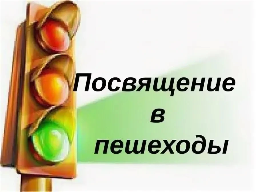 ПОСВЯЩЕНИЕ В ПЕШЕХОДЫ🚦