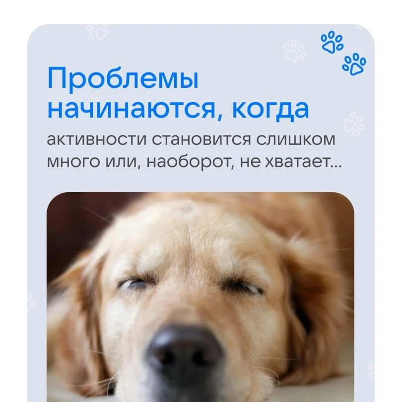 ૮⍝• ᴥ •⍝ა