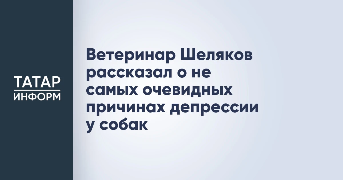 Ветеринар Шеляков рассказал о не самых очевидных причинах депрессии у собак