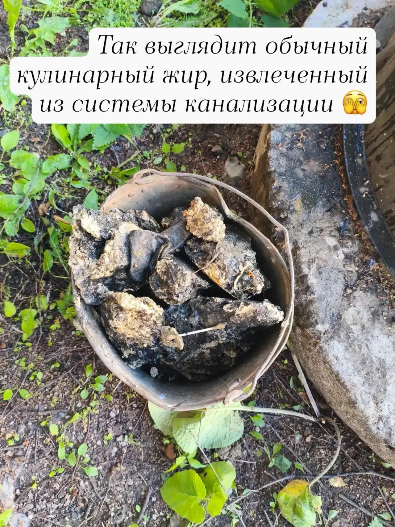 🍳 Так выглядит обычный кулинарный жир, извлеченный из труб!