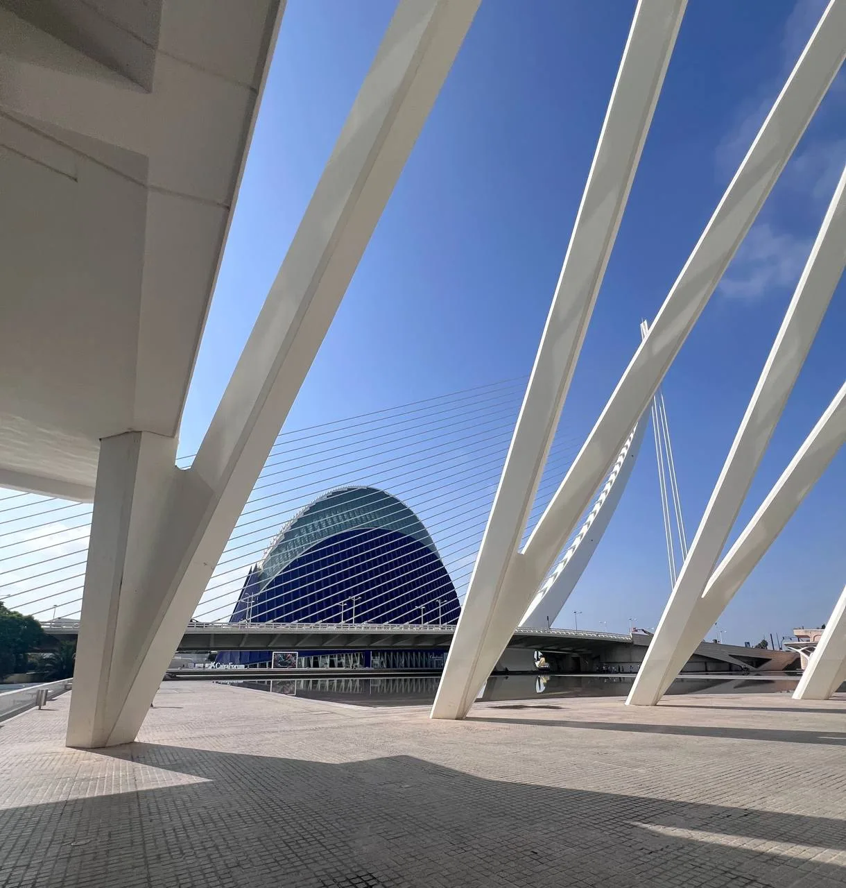 ☕️ Мыслительный дайджест. 

🤷‍♂️ Подробно про реинвест дивов были отдельные посты: ссылка-раз и ссы