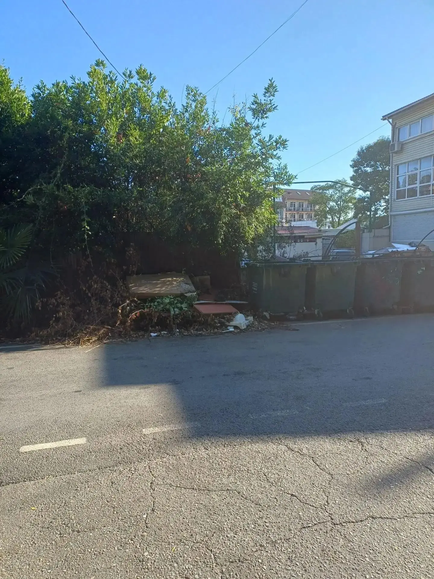 🗑️ Жители Александровского переулка вновь обращают внимание на состояние контейнерной площадки. По 