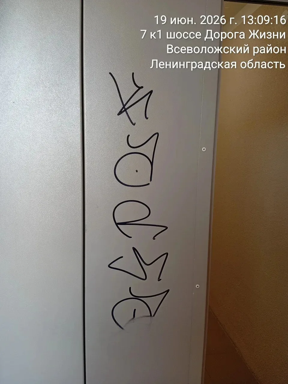 Комплексное обслуживание: уборка и восстановление порядка по адресу Дорога Жизни, д. 7, к. 2

Уважае