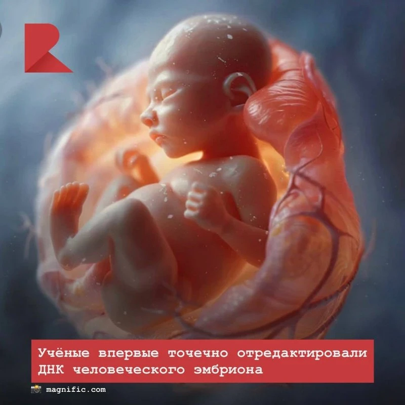 👶🏻 Исследователи Колумбийского университета научились точечно менять ДНК эмбрионов. 

В перспектив