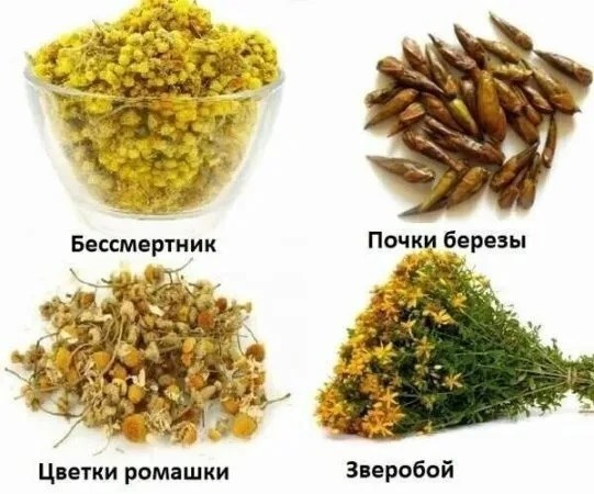 ИНФАРКТ , ИНСУЛЬТ , СКЛЕРОЗ, СТЕНОКАРДИЯ, ГИПЕРТОНИЯдән үләннәр катнашмасы ярдәм итәчәк...