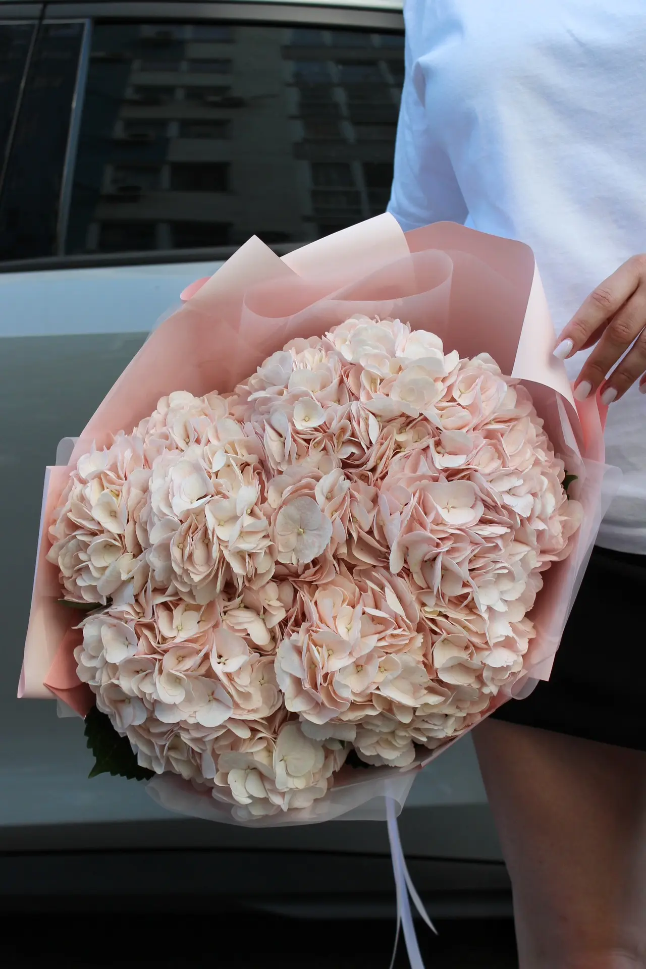 Гортензия доступна к заказу на сегодня 🥰