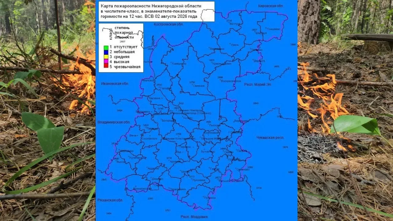 🔥 По данным регионального Минлесхоза на территории области в лесах установился 2 класс пожароопасно