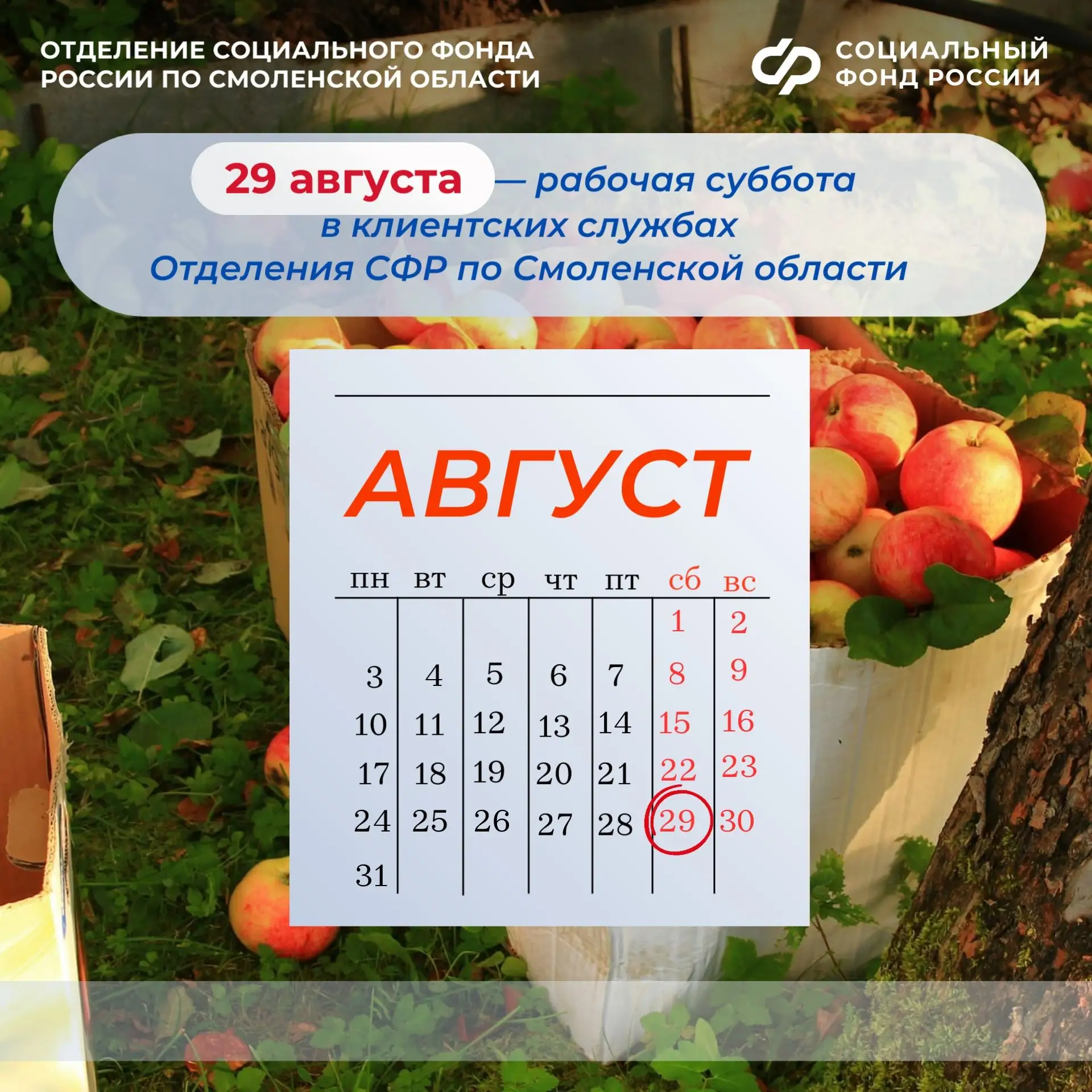 29 августа — рабочая суббота в клиентских службах Отделения СФР по Смоленской области