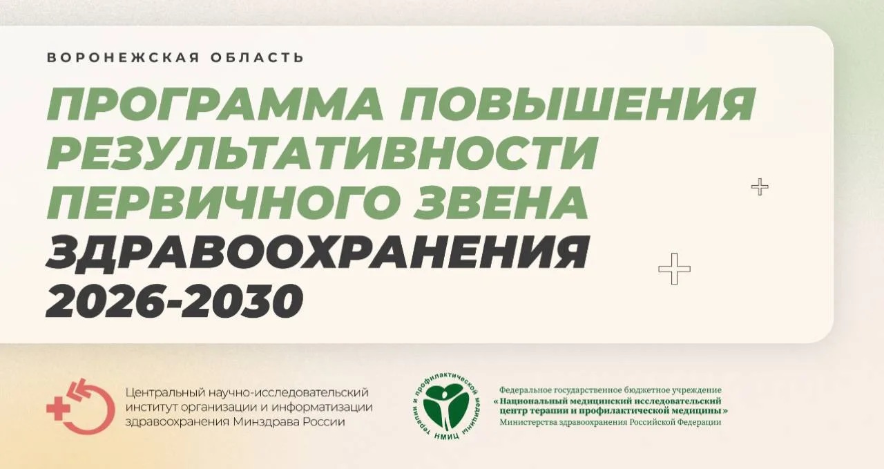 В Воронежской области распоряжением правительства региона утверждена программа повышения результатив