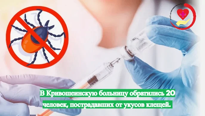В Кривошеинской районной больнице появились первые пациенты, которые пострадали от укус...