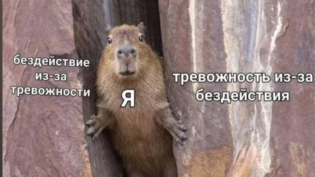 #пятничныйЮМОР 😀