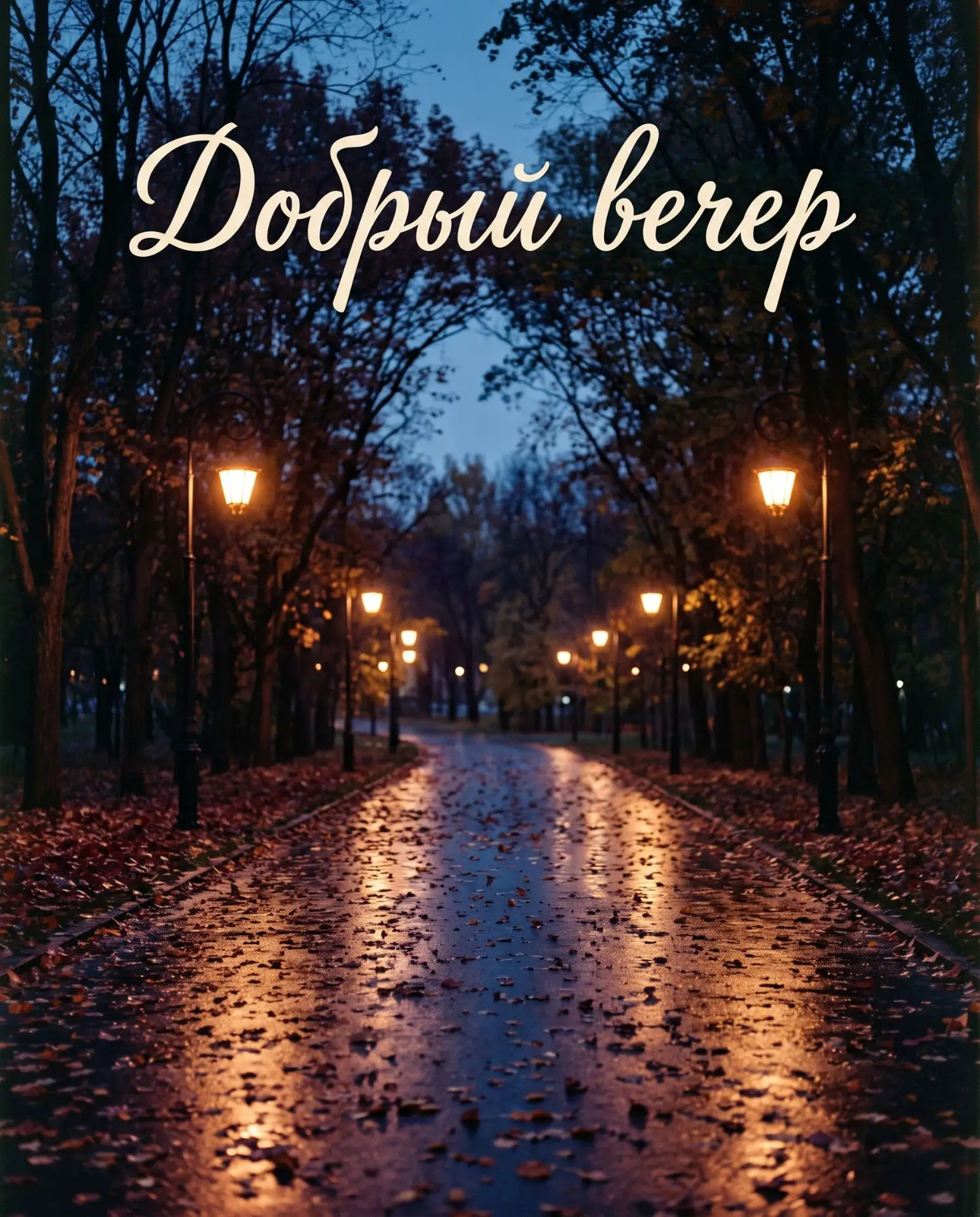 Добрый вечер. 🌑