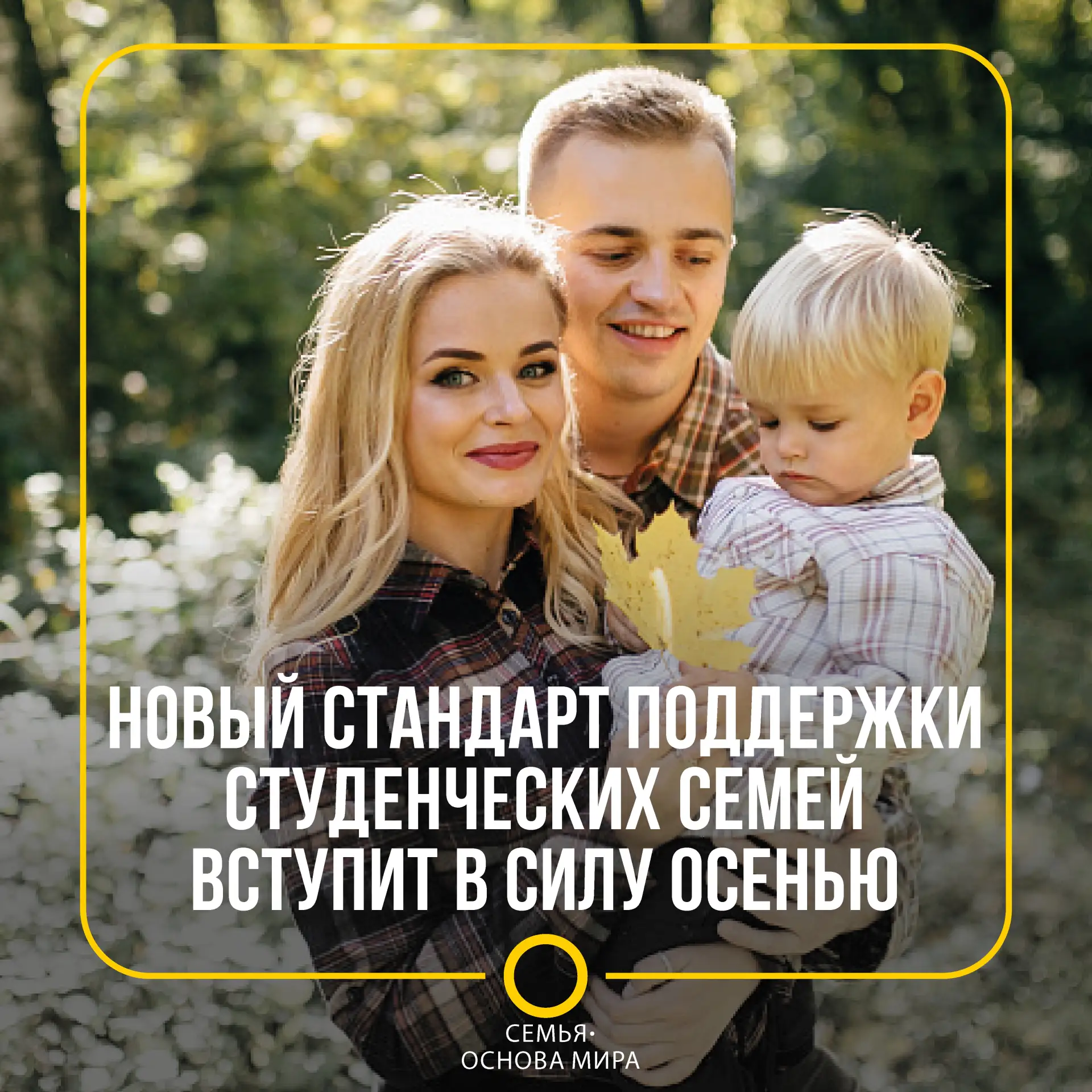 «Золотой» стандарт по поддержке студенческой семьи разработала «Единая Россия», об этом...