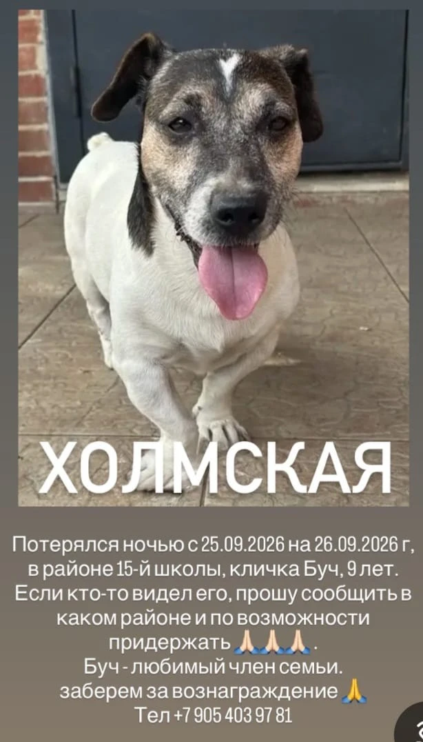 "Барахолка" Кубани