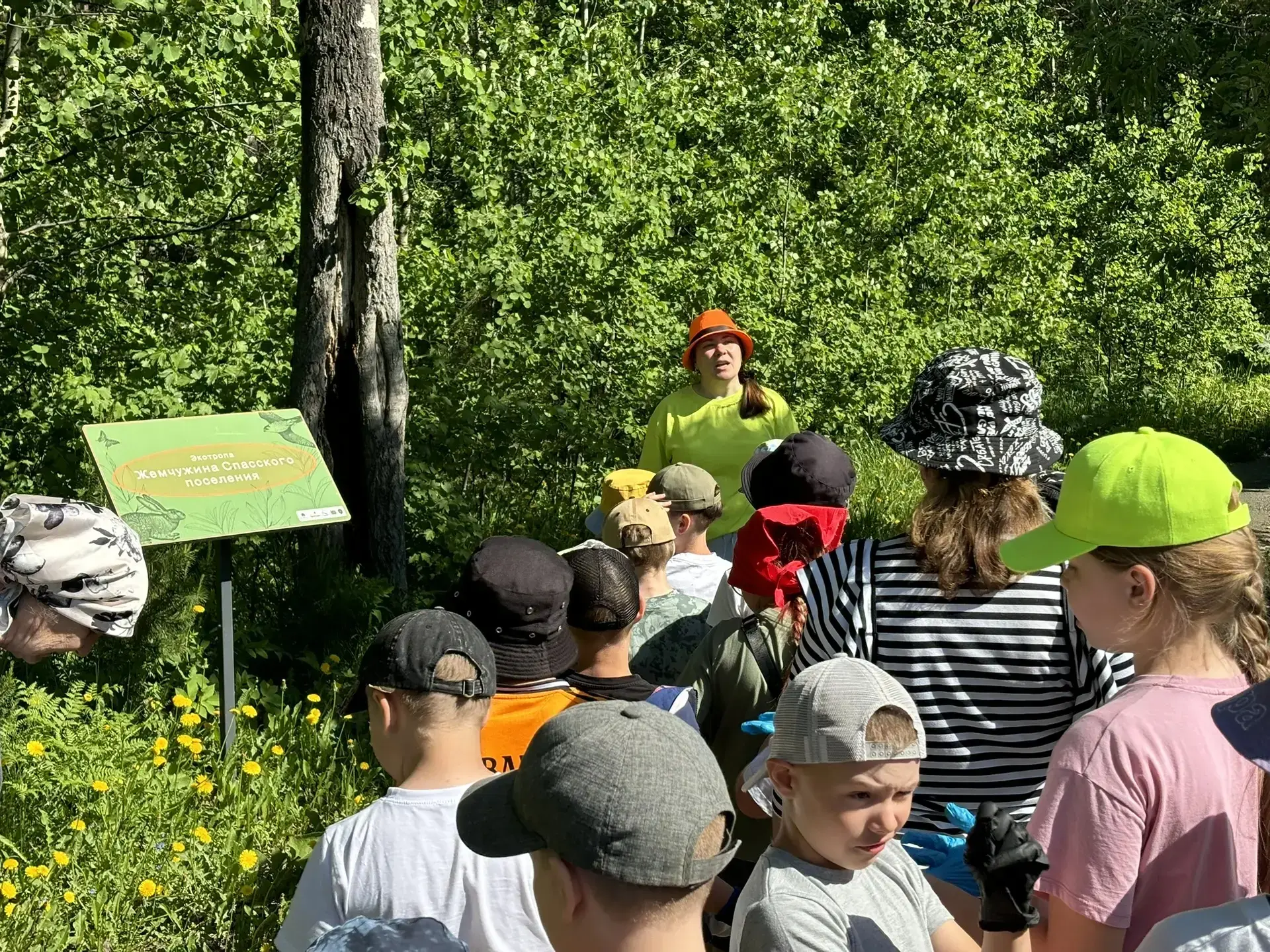 🌿 5 июня мы отмечали Всемирный день охраны окружающей среды! 🌍

В рамках этого дня ребята летнего 