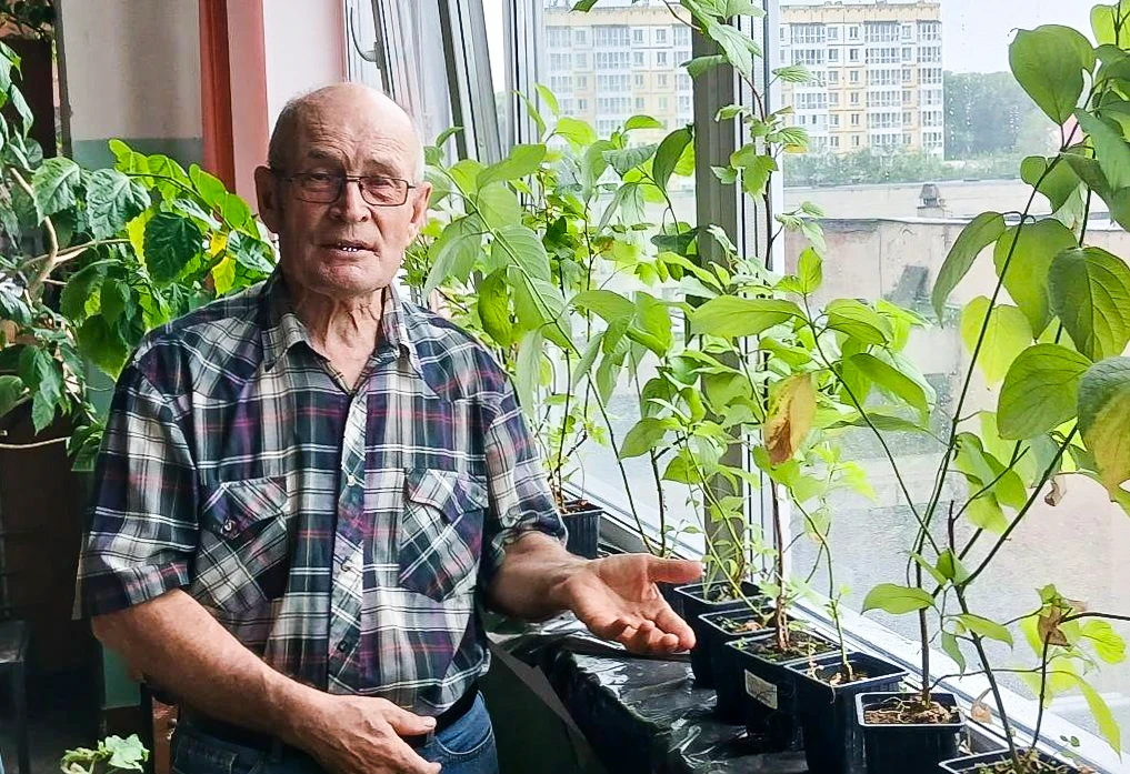 ⚡ Учёные СибГИУ научились превращать промышленные отходы и осадки сточных вод в плодоро...