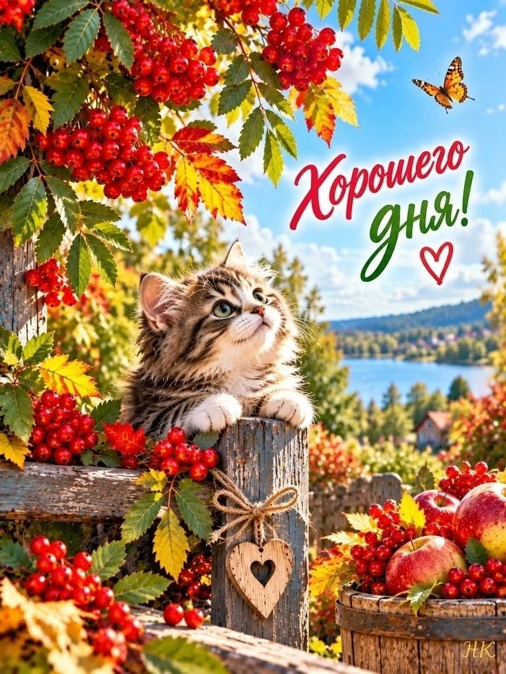 ☀️ #добрый_день