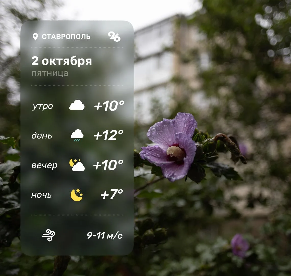 🌧 Погода в Ставрополе 2 октября