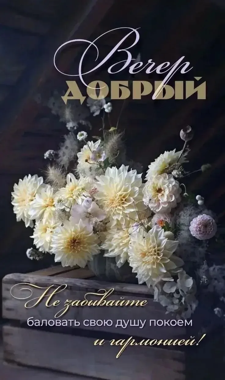 Открытки на каждый день 🎀