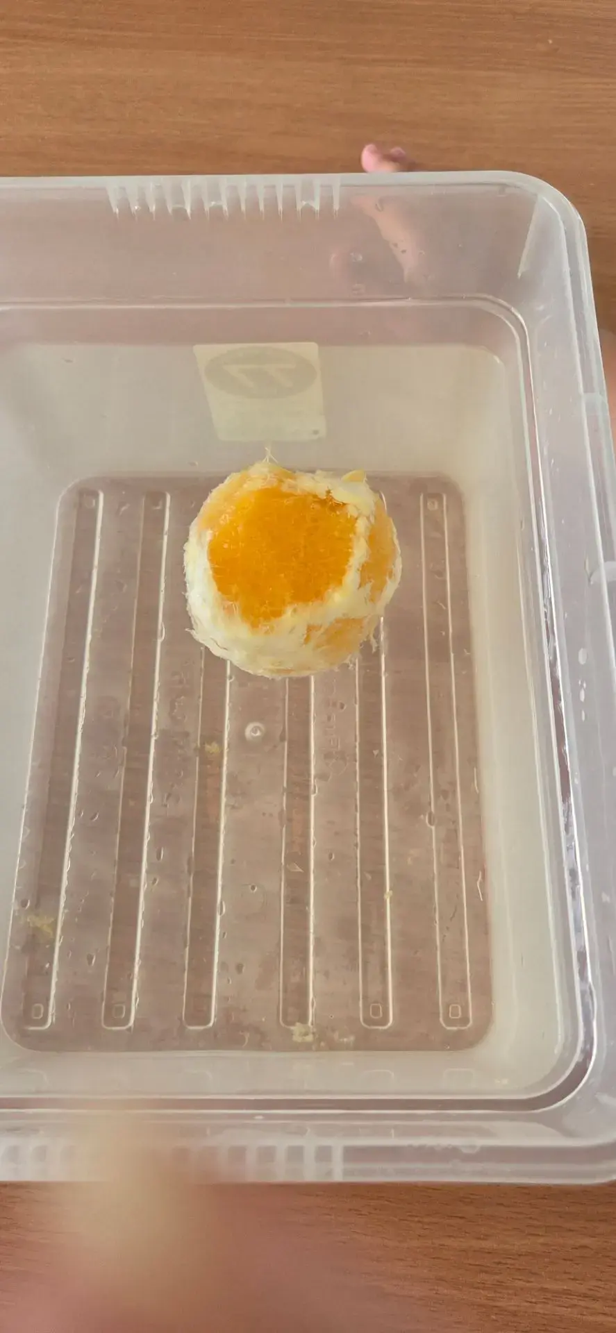 🍊 «Тонет — не тонет?» Шокирующий эксперимент с апельсином