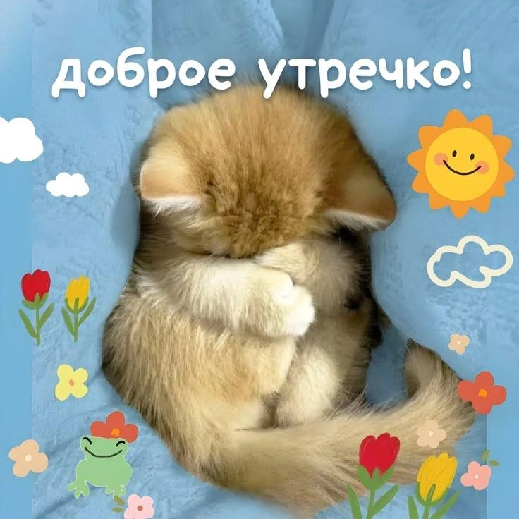 😇 Доброе утро, друзья!