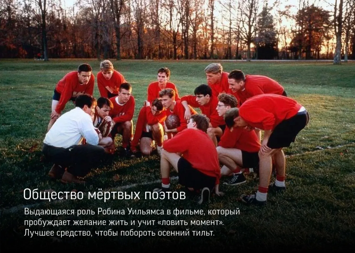 🍂 Все уже пересмотрели «Сумерки»?