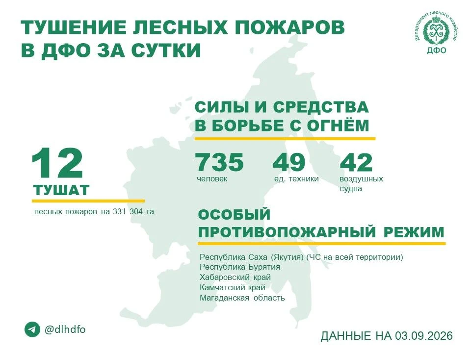 🧑‍🚒За прошедшие сутки в регионах ДФО продолжается тушение 12 лесных пожаров.